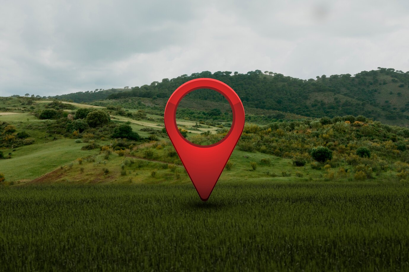 pincode finder online